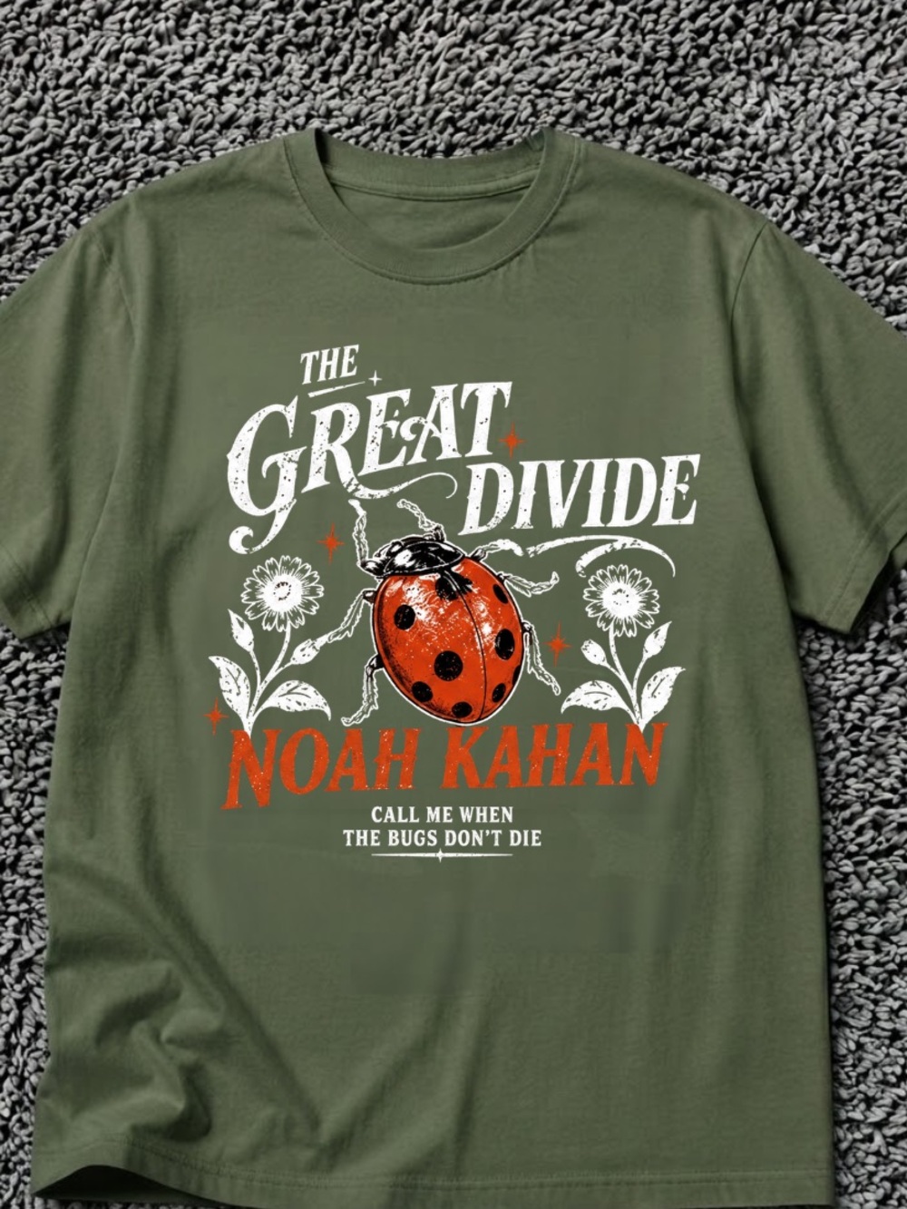 Forest Green Tee with White and Red Ladybug Graphic | Noah Kahan